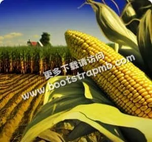 探索无限竞技可能 - 5E对战登录入口