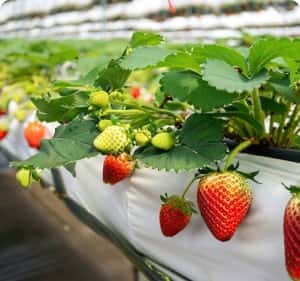 探索无限竞技可能 - 5E对战登录入口