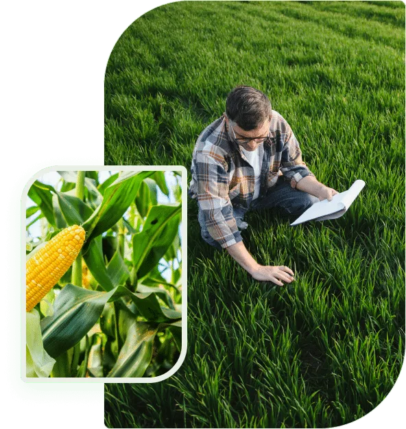 为您的竞技之路保驾护航 - 5E对战登录入口
